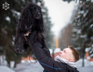 Физтех-колледж — дог-френдли!