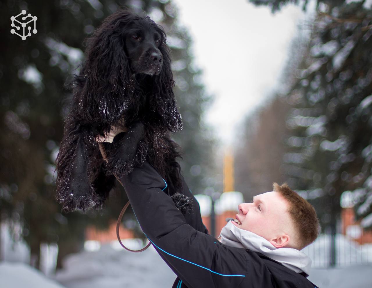 Физтех-колледж — дог-френдли!